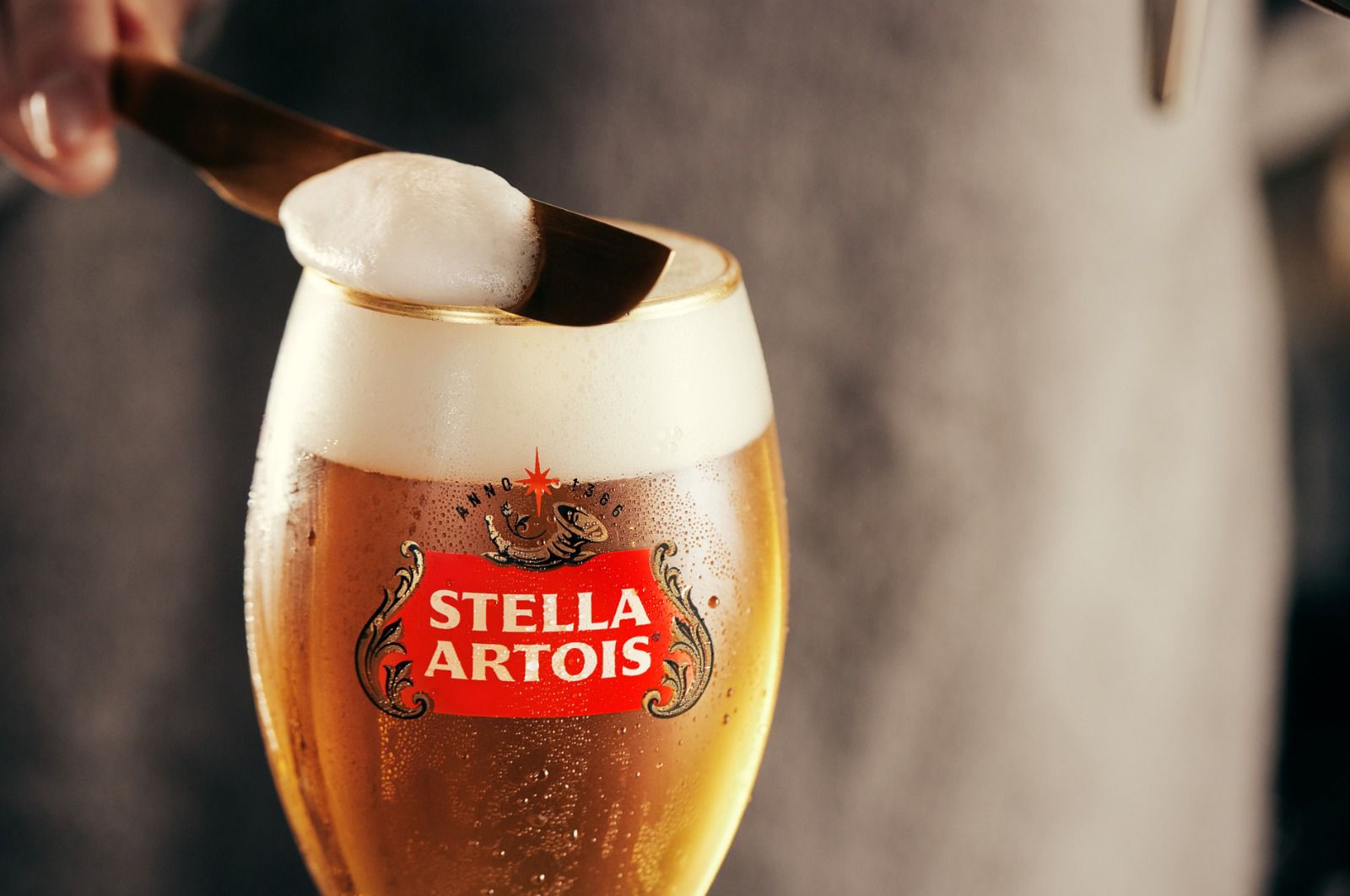 WhatsApp Image 2026-01-13 at 10.36.32.jpeg